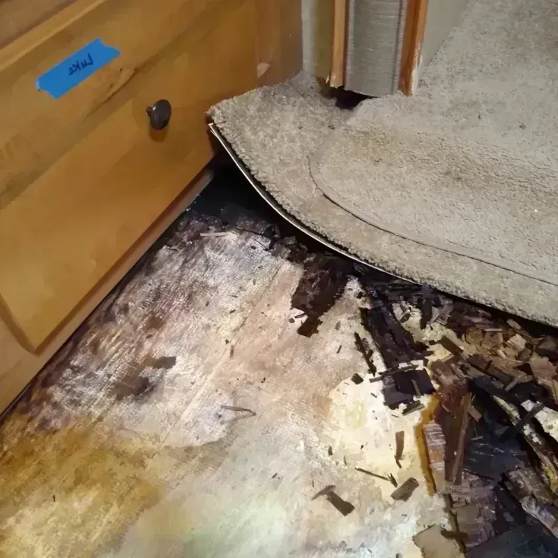 Wood Floor Water Damage in Holt County, MO